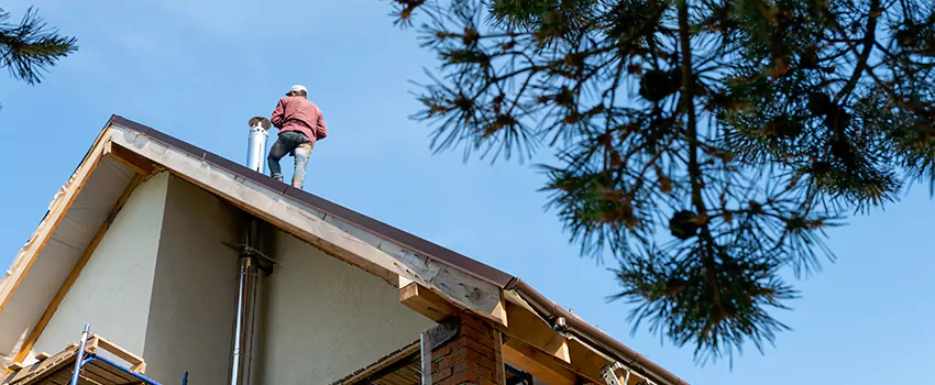 Birds Removal Contractors from Chimney in Beaver Dam, WI